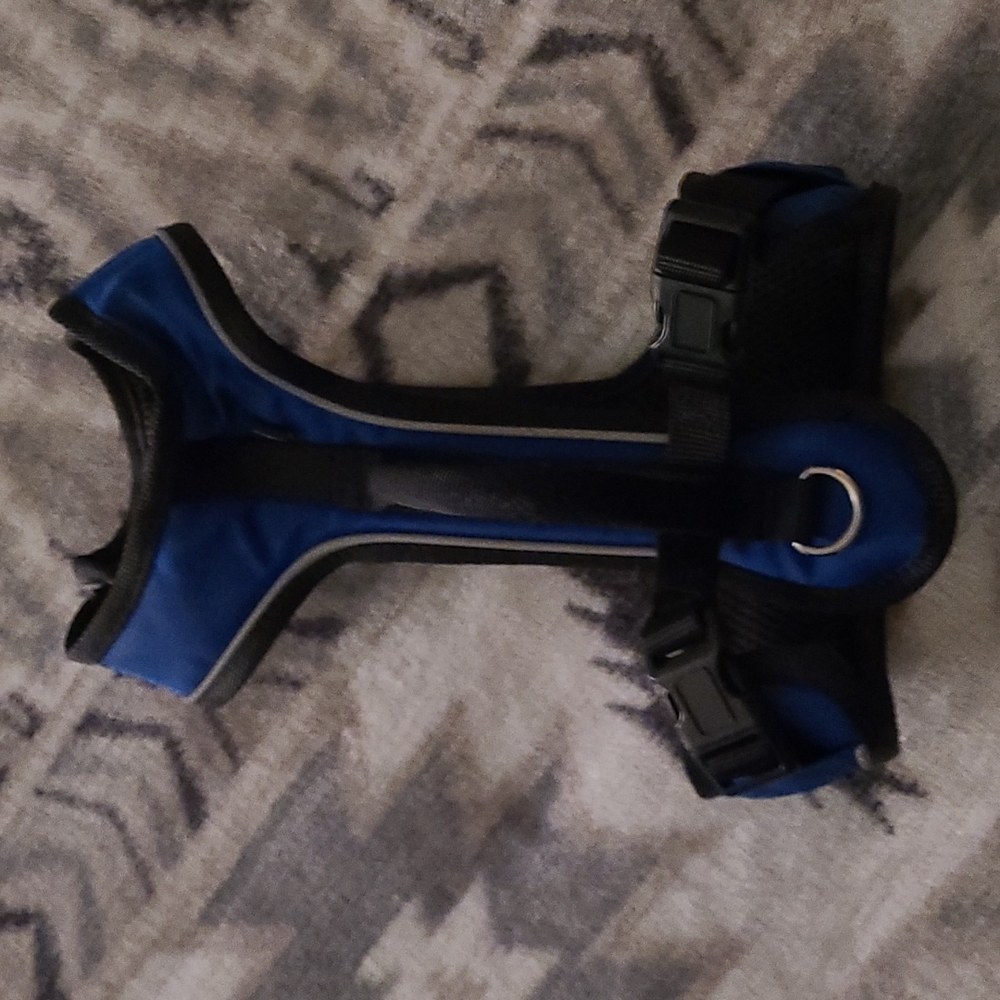 Petsafe harness